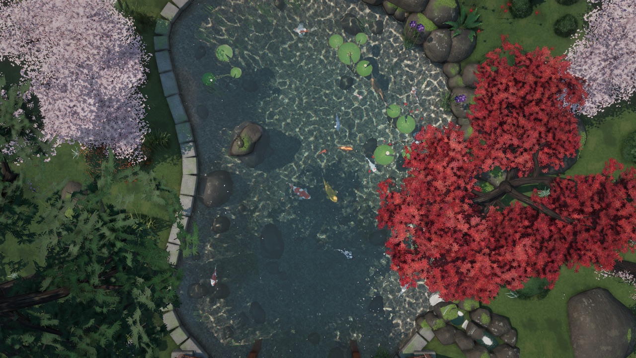 Koi swimming in the original project’s Japanese garden pond, surrounded by rocks and plants