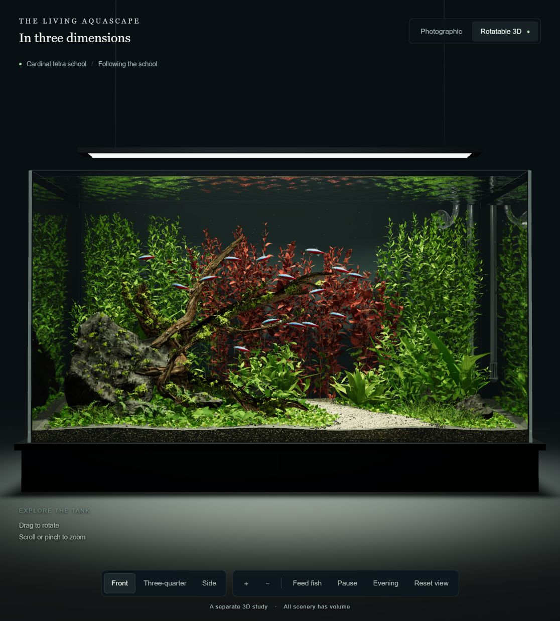 Actual 3D aquarium with a tetra school, branching driftwood, red and green plants, and a winding sand path