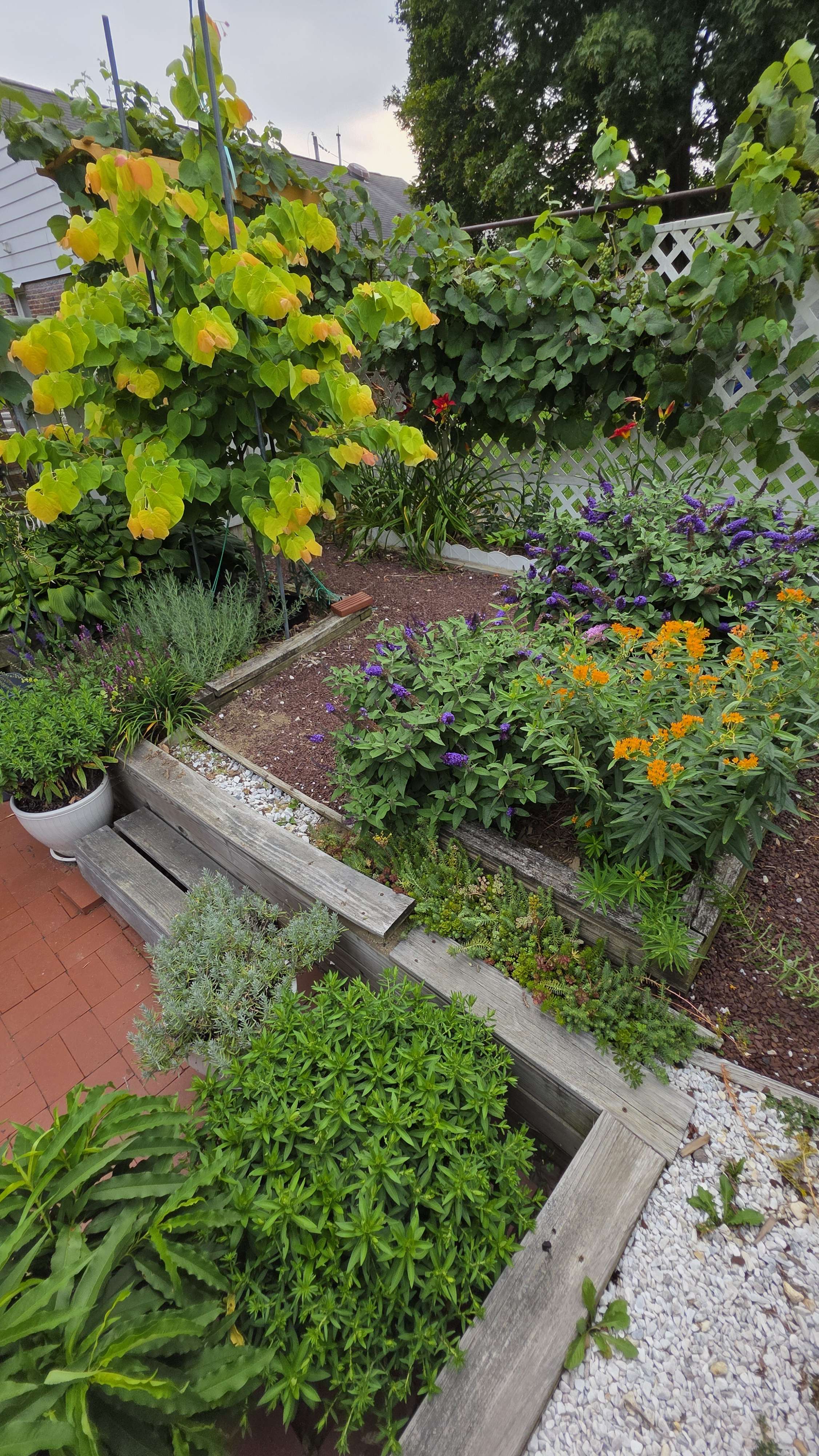 Garden overview 2025