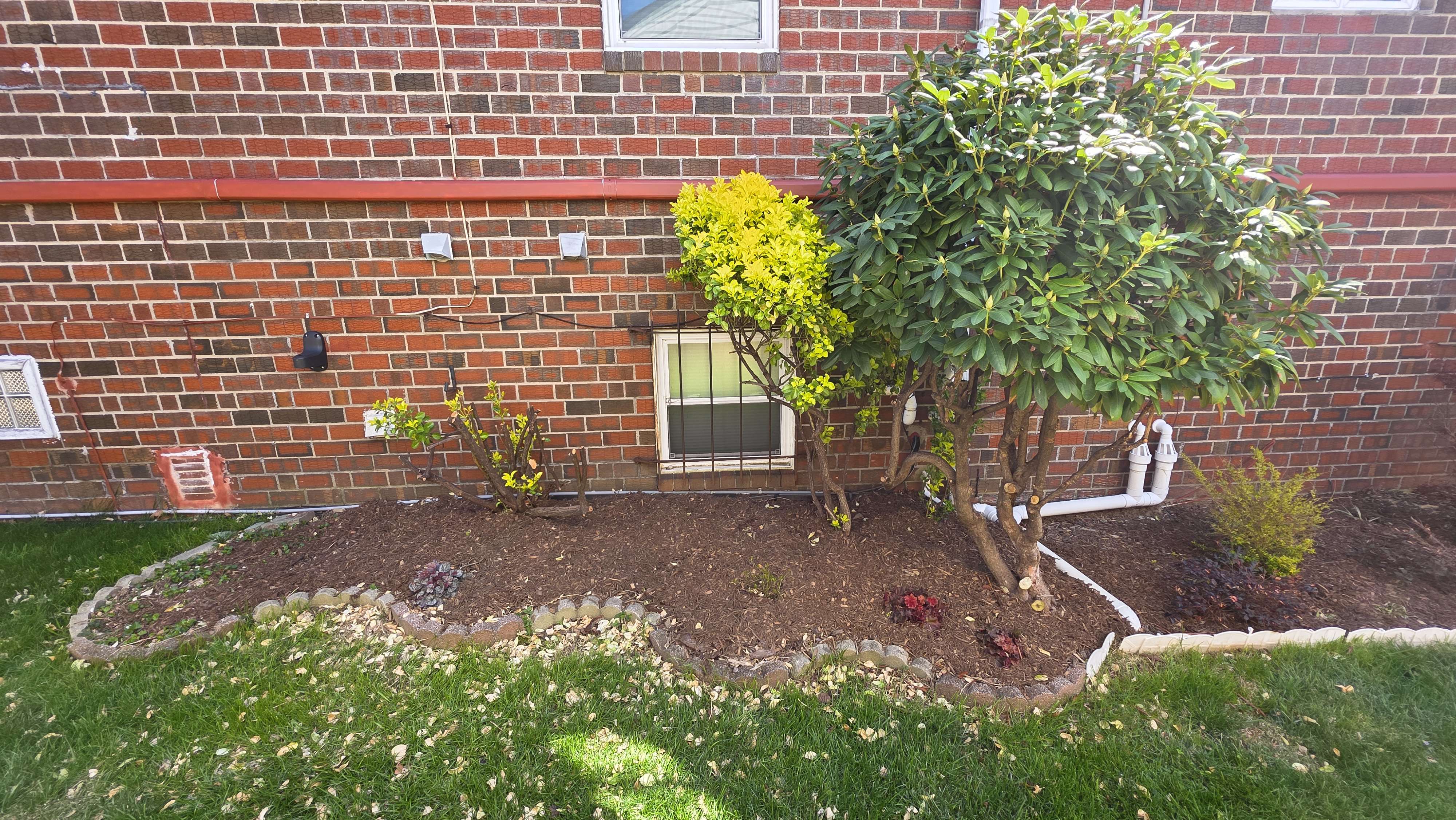 Side house bed early April