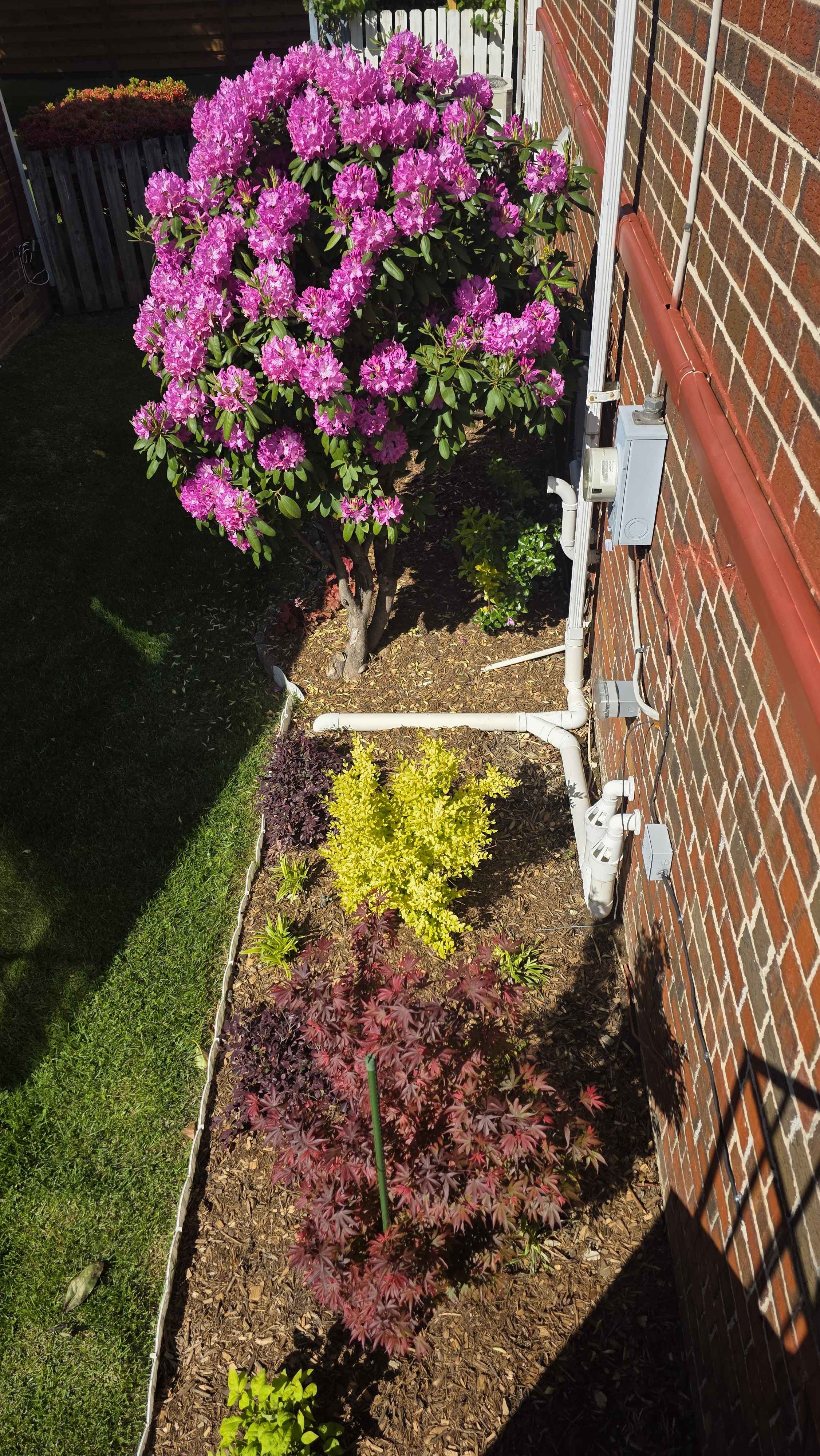 Side house foundation bed May overview